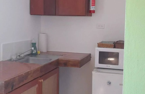 Caye Caulker Apartment | Green Studio - Amanda's Place - Pool and Tropical garden