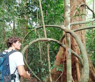 Bohorok House | Green View Guest House only treking with US