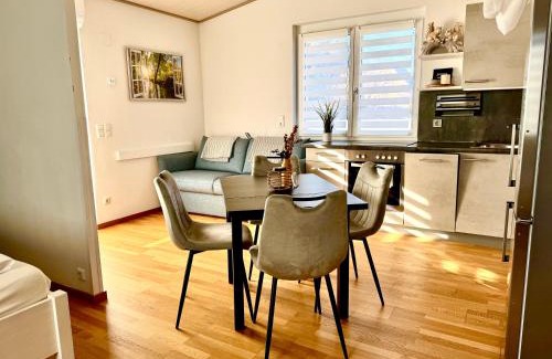 Klagenfurt am Woerthersee Apartment | GreenHouse with Aircondition and Garden
