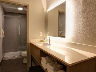 Pasadena Hotel | GreenTree Pasadena