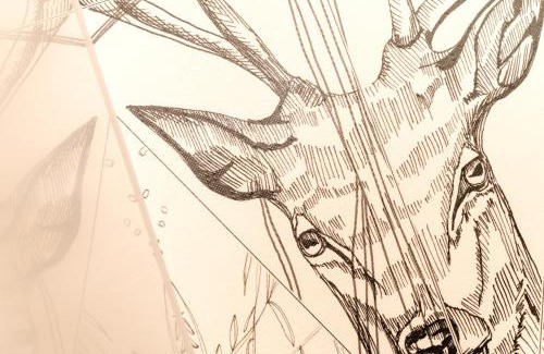 Calden House | Grimmwald Tiny House