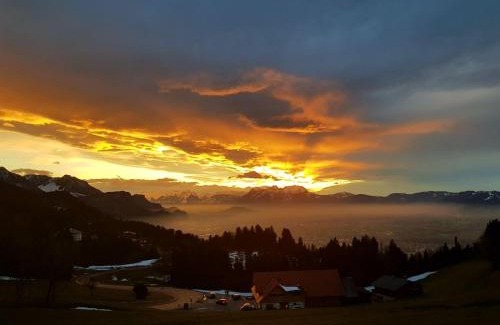 Dornbirn Apartment | Großzügige Ferienwohnung am Skigebiet Bödele mit Rheintalblick