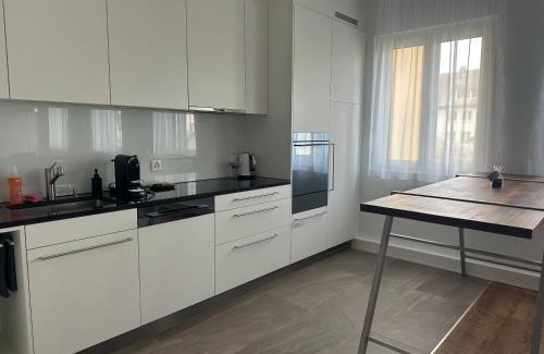 Seengen Apartment | Grosse Einzimmerwohnung/Büro/Showroom