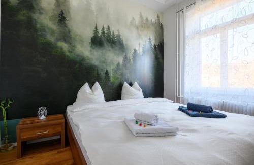 Schaffhausen Apartment | Gruben Apartments 2 schlafzimmer