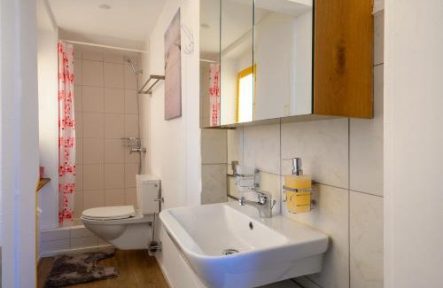 Schaffhausen Apartment | Gruben Apartments 2 schlafzimmer