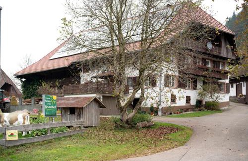 Elzach Apartment | Grundhof 2