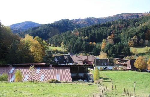 Elzach Apartment | Grundhof 2
