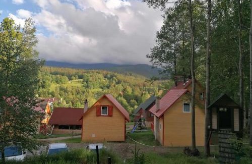 Przesieka Cabin | Grzywaczówka