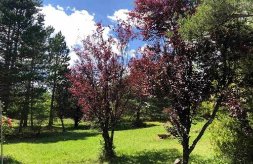 Gap Apartment | Guest House à la Nature