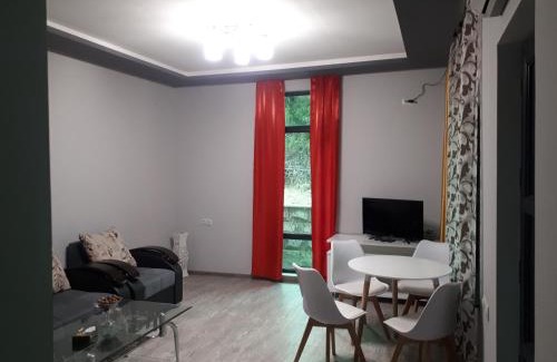 Stepanavan Apartment | Guest House, Հյուրատուն, Հայաստանյան Շվեյցարիա