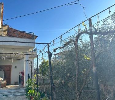 Otllak Apartment | Guest House Arbër
