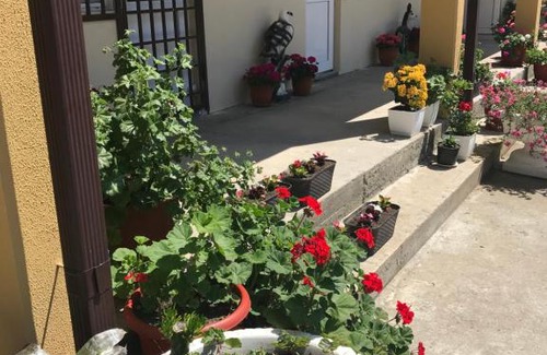 Alakhadzi House | Guest house Black Sea