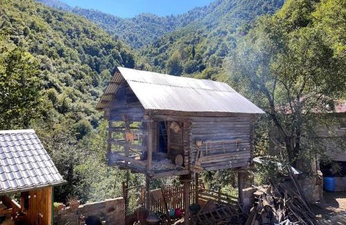 Khelvachauri House | Guest House Machakheli