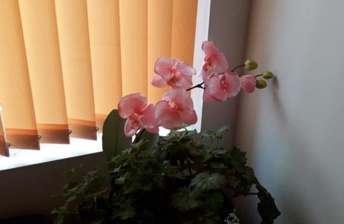 Plovdiv Center House | Guest House The House