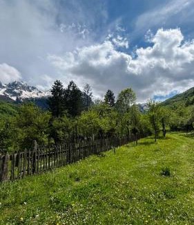 Elbasan Bed & Breakfast | Guest house Xheni