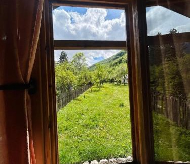 Elbasan Bed & Breakfast | Guest house Xheni