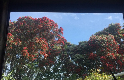 Gisborne House | Guest wing in beautiful sheltered garden close to beach