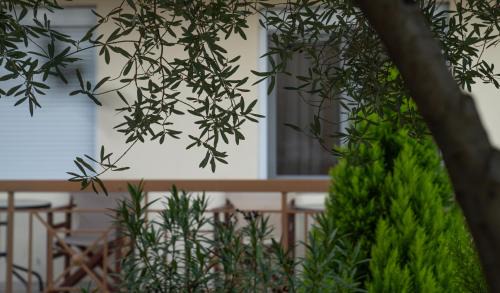 Loutraki Apartment | Guesthouse Adonis
