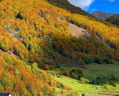 Shkoder County House | Guesthouse Alpini