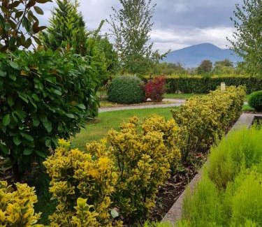 Marchevo House | Guesthouse Green Fields