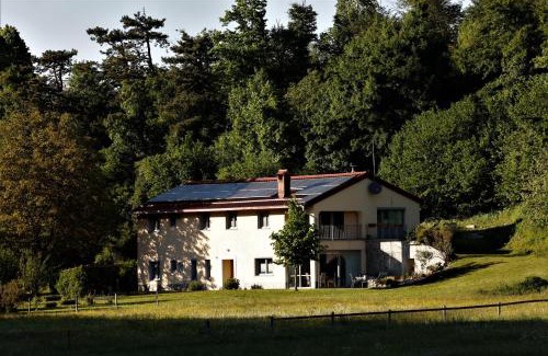 Matavun Apartment | GUESTHOUSE Idila pod Nanosom