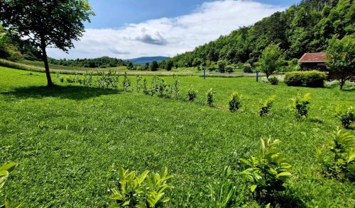 Matavun Apartment | GUESTHOUSE Idila pod Nanosom
