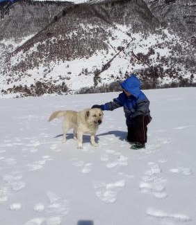 Lalkhori House | Guesthouse MAMUKA zhabesh