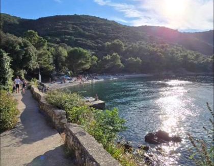 Valun Apartment | Guesthouse Pijerino