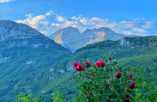 Curraj I Eperm House | Guesthouse Prebibaj