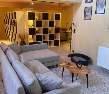 Zedelgem House | Guesthouse Sprinysem