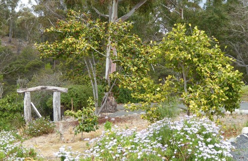 St Helens House | Gull Cottage - Relax by the bay