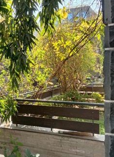 Rajkot Villa | Gulmohar