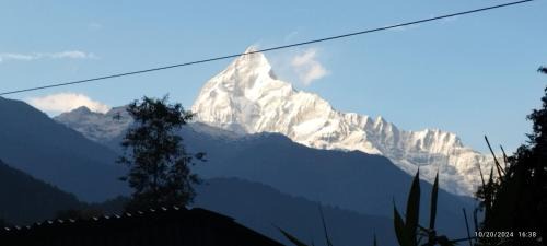 Ghachok Hotel | Gurung Ghachok kitchen and lodge