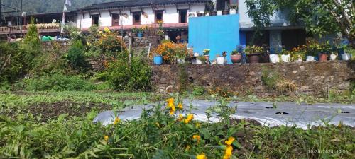 Ghachok Hotel | Gurung Ghachok kitchen and lodge