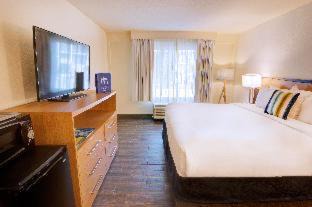 St. Augustine Beach Hotel | Guy Harvey Resort on Saint Augustine Beach