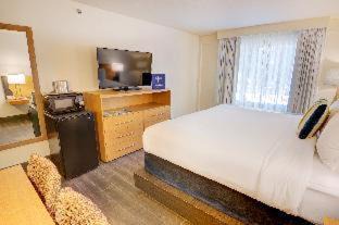 St. Augustine Beach Hotel | Guy Harvey Resort on Saint Augustine Beach