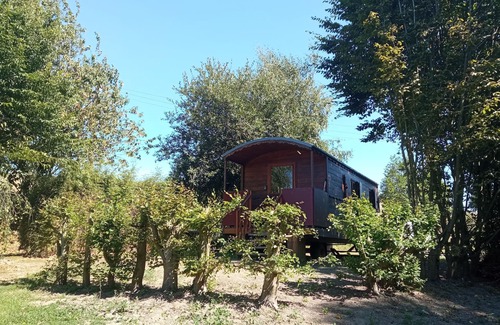 Saint-Martin-des-Champs House | Gypsy caravan in the middle of the countryside in Mont-Saint-Michel bay for 2 to 4 people.