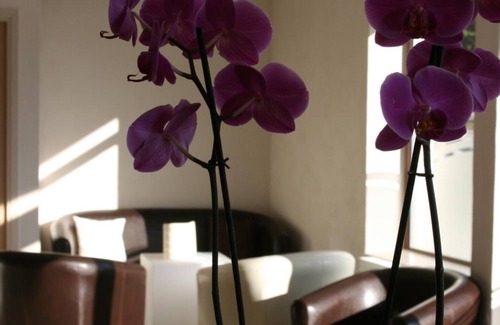 Saint-Chely-d'Apcher Hotel | Hôtel Bel Horizon
