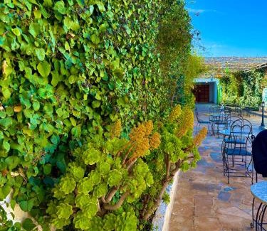 Sidi Youssef Ben Ahmed Hotel | Hôtel Khalwa