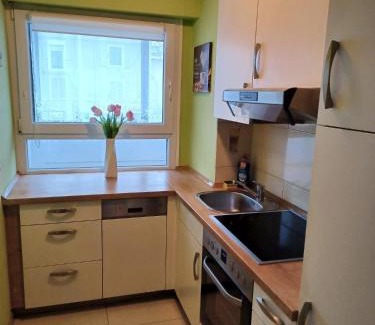 Oos Apartment | H&A Apartment Baden Baden