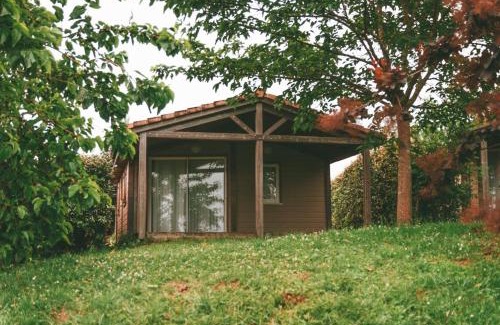 Monclar-de-Quercy Resort | H des Lacs 3p 4 pers
