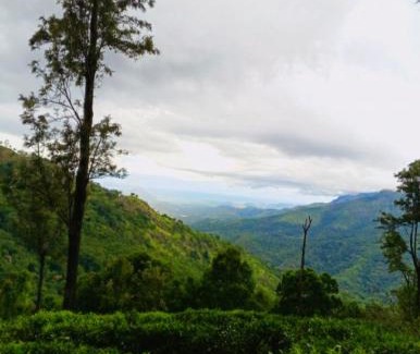 Ella Hotel | H3 Hilltop Heaven