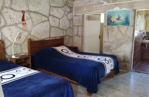Hidalgo Bed & Breakfast | Habitación Colibrí