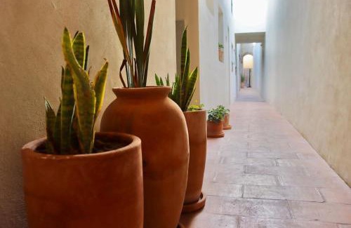 Leon Centro Apartment | Habitación Privada en 1er piso