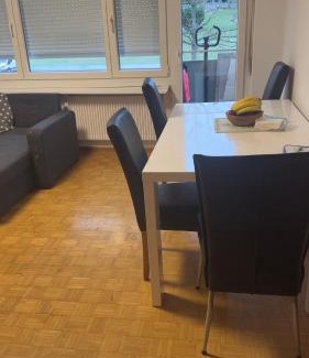Neuhausen am Rheinfall Apartment | Habitacion en un piso compartido