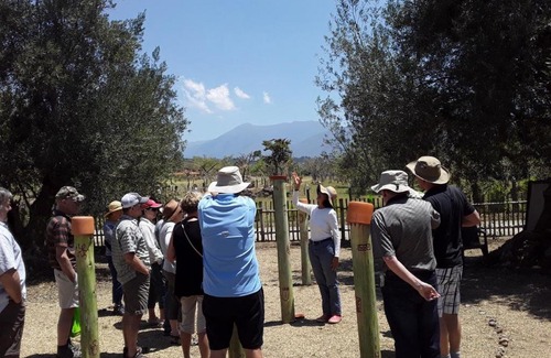 Villa de Leyva Bed & Breakfast | Habitaciones Luna Campestre