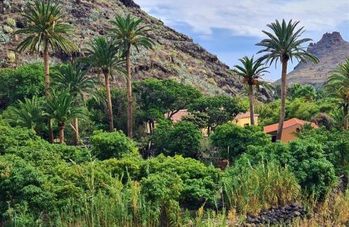 Lomito Fragoso y Honduras House | Haciendita Gomera