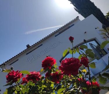 Oletta Bed & Breakfast | Hacienda d Amore