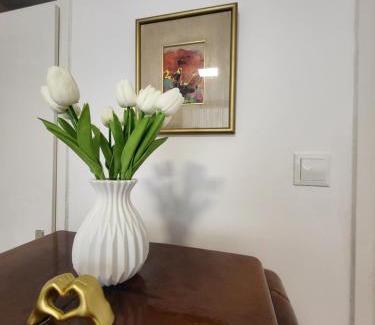 Mali Radic Apartment | HaDi Home