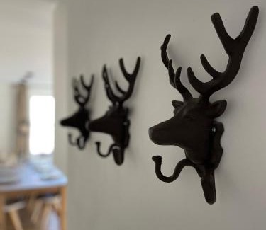 Annaberg im Lammertal Apartment | Haigis Lodge